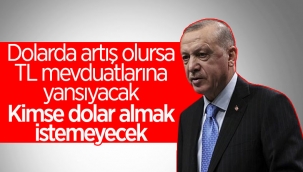 Cumhurbaşkanı Erdoğan'dan önemli açıklamalar