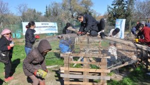 Datça hayvan barınağının suyu yağmurdan karşılanacak