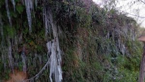 Denizli'nin Güney Şelalesi dondu