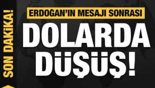 Dolar ve altında hızlı düşüş!