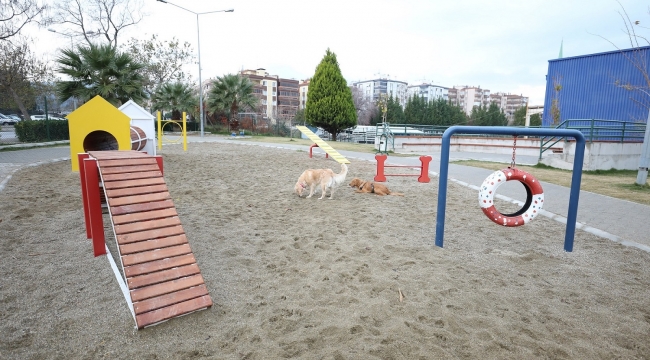 Gaziemir'de köpeklere özel park açıldı