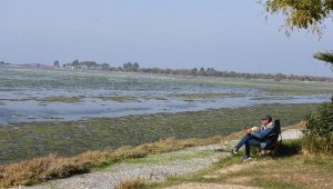 Havalar soğuldu, İzmir'de deniz marulu yok oldu