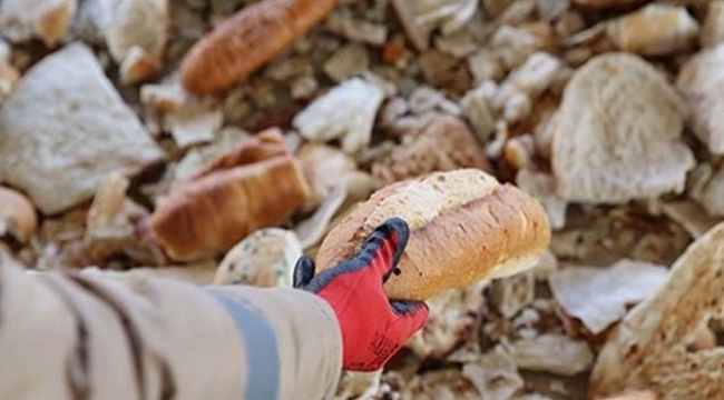 İsraf! Günde 15 milyon liralık ekmek çöpe gidiyor