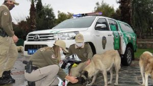 İzmir polisinden sokak hayvanlarına şefkat..