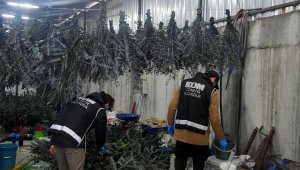 İzmir'de 42 ton kaçak nargile tütünü yakalandı