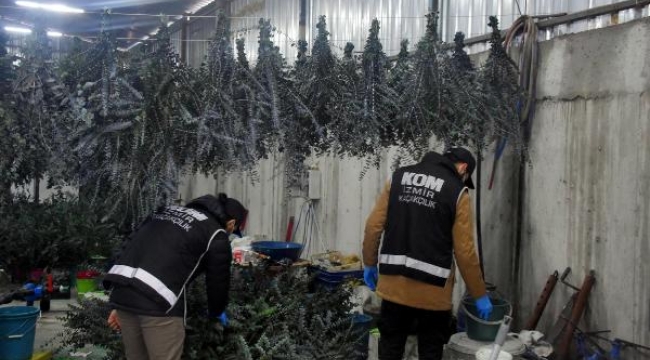 İzmir'de 42 ton kaçak nargile tütünü yakalandı