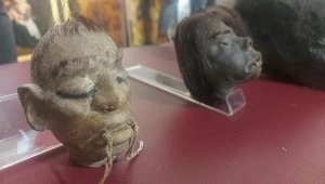 İzmir'de, özel işlemden geçirilen insan başları ele geçirildi