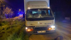 Kamyonetin çarptığı yaya öldü