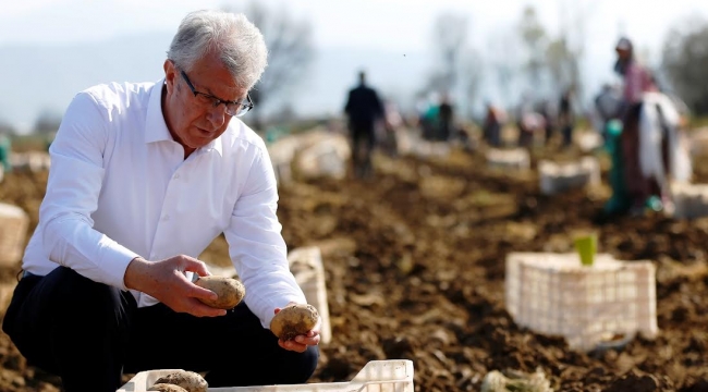 Kompir'in başkenti Ödemiş'ten festival daveti