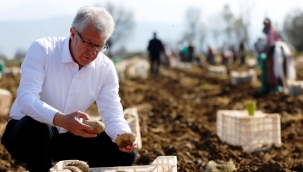 Kompir'in başkenti Ödemiş'ten festival daveti
