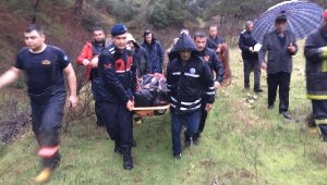 Koyun otlatan çoban uçuruma düştü