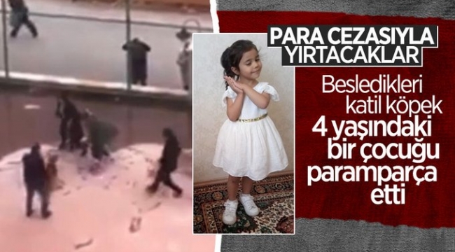 Küçük kızı pitbullar parçaladı! Sahiplerine 60 bin lira ceza