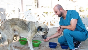 Menderes'te Can Dostlar Unutulmuyor