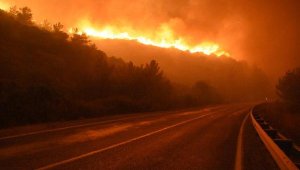 Menderes'teki orman yangını sanığına 7 yıl hapis istemi
