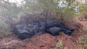 Muğla'da helikopterli operasyon! 1.5 ton skunk