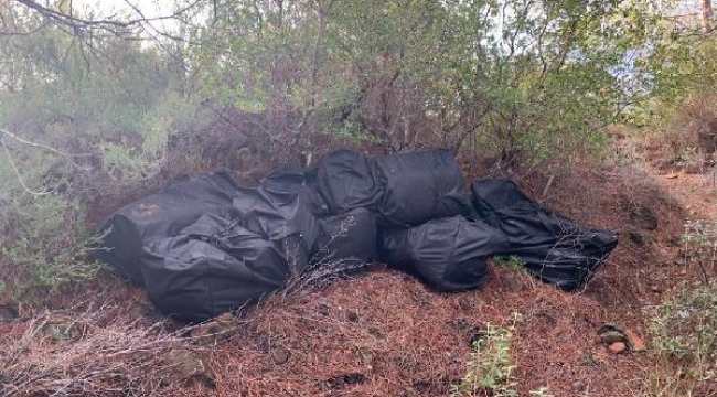 Muğla'da helikopterli operasyon! 1.5 ton skunk