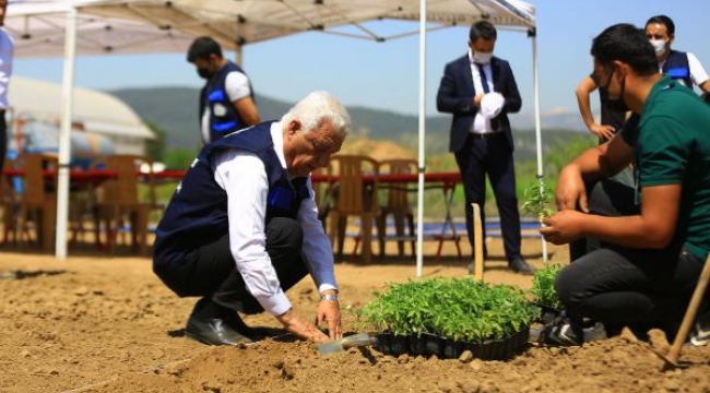 Muğla'da üreticiler bilinçli üretim yapıyor