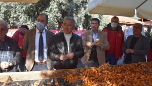 Muğla'da zerdeçal ve zencefil hasadı üreticiyi sevindirdi