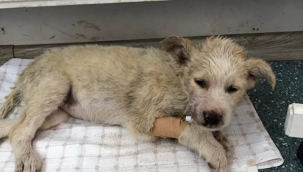 Ölümden döndü yeni yaşama merhaba dedi