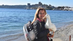 'Payti'nin reklam gelirini, SP'li çocuklara bağışlayacak