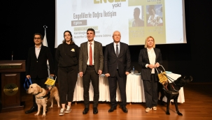 Rehber köpekler yaşamları değiştiriyor