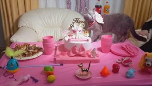 Sahiplendikleri kediye doğum günü partisi yaptılar