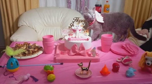 Sahiplendikleri kediye doğum günü partisi yaptılar