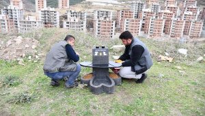 Sokak hayvanlarına 'pati' beslenme ünitesi