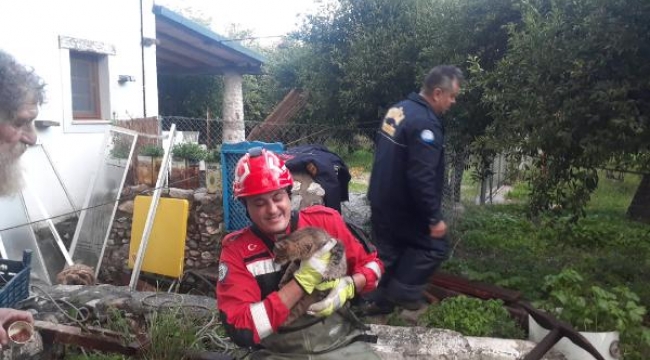 Su kuyusuna düşen kedi itfaiye tarafından kurtarıldı