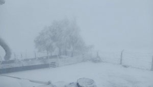 Turgutlu'ya yılın ilk karı düştü