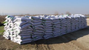 Yuh! Deniz kumundan gübre yaptılar