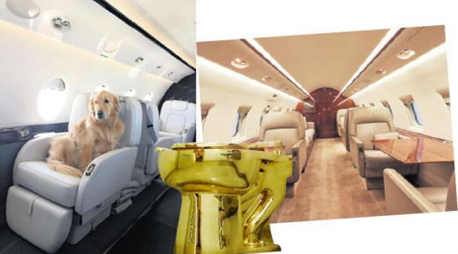 Zenginler nereye para harcıyor! Altın tuvalet, köpeğe özel uçak