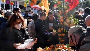 15'inci Bodrum Mandalina Hasat Festivali yoğun katılımla gerçekleşti