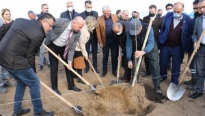 Alaşehir'de 2 bin 500 cennet hurması toprakla buluştu