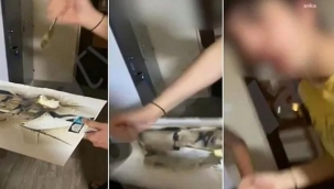 Atatürk portresine saldırıya soruşturma