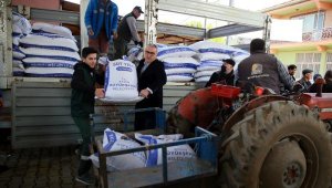 Aydın Büyükşehir Belediyesi'nden üreticiye yem desteği