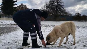 Balıkesir Büyükşehir Belediyesi ekipleri kar mesaisinde