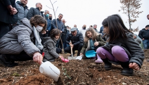 Başkan Soyer: "Her bir ağaca dair sorumluluğumuz var"