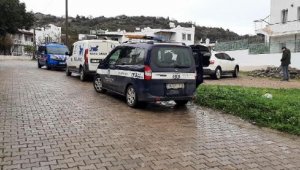 Bodrum'da 2'si ölü 1'i baygın 3 köpek bulundu