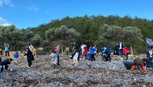 Bodrum'da öğrenciler çevre temizliği yaptı