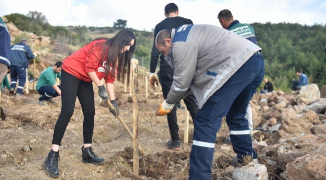 Bornova'ya yeni Misket Üzümü Bağı
