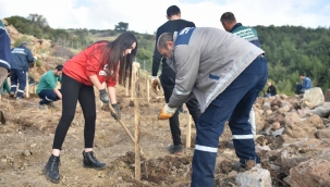 Bornova'ya yeni Misket Üzümü Bağı