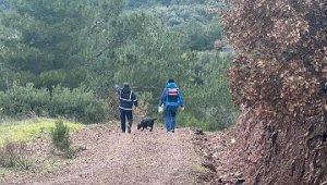 Çanakkale'de kayıp kadın bulundu; yolunu kaybedince zeytinlikte uyumuş