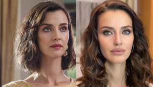 Dizi yıldızının köpeği Çeşme'deki evinde öldürüldü