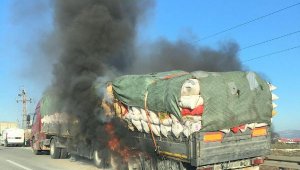 Hayvan yemi yüklü TIR yandı