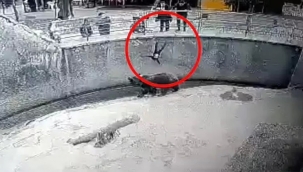 Hayvanat bahçesine götürdüğü kızını ayıların önüne attı