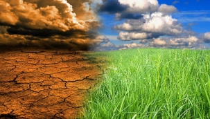 'İklim krizi iklim göçlerini tetikleyebilir'