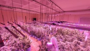 İşyerini uyuşturucu serası yapan 2 kişi tutuklandı