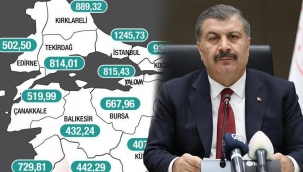 İşte vaka haritası: İstanbul 1'inci, İzmir 6'ncı