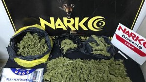 İzmir'de esrar operasyonu